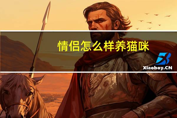 情侣怎么样养猫咪