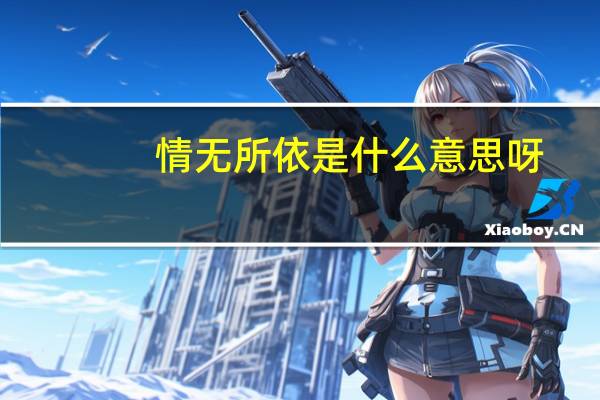 情无所依是什么意思呀
