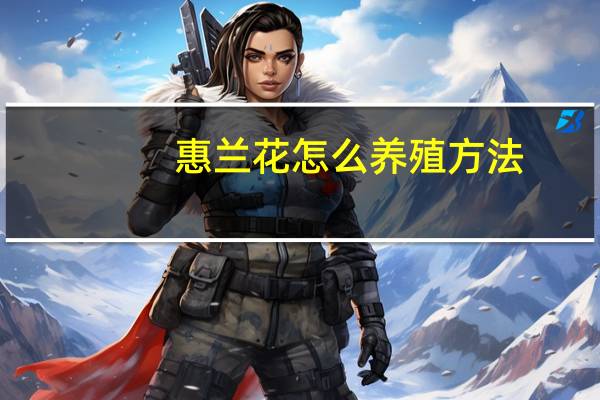 惠兰花怎么养殖方法