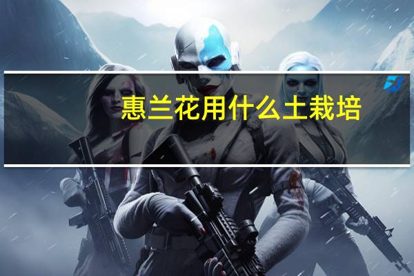 惠兰花用什么土栽培