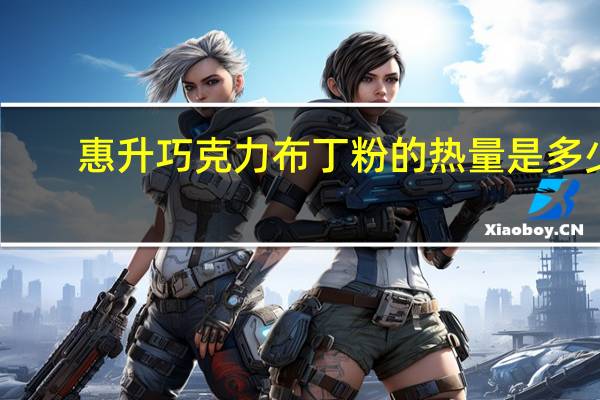 惠升 巧克力布丁粉的热量是多少