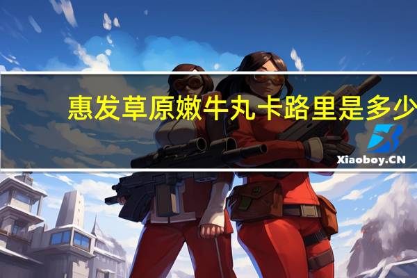 惠发 草原嫩牛丸卡路里是多少