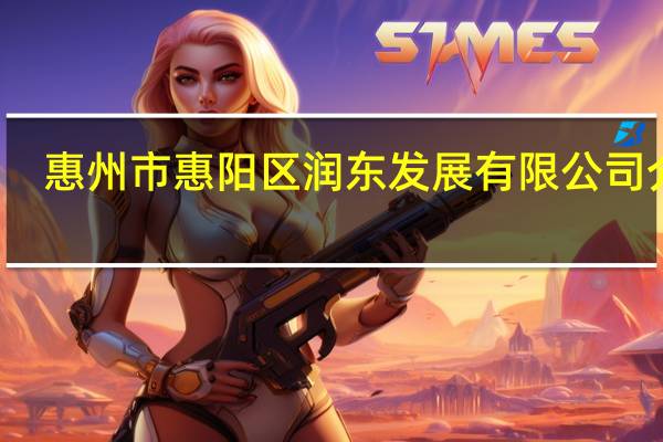 惠州市惠阳区润东发展有限公司介绍