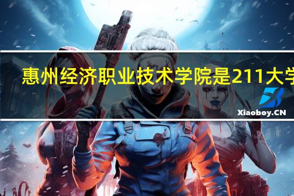 惠州经济职业技术学院是211大学吗