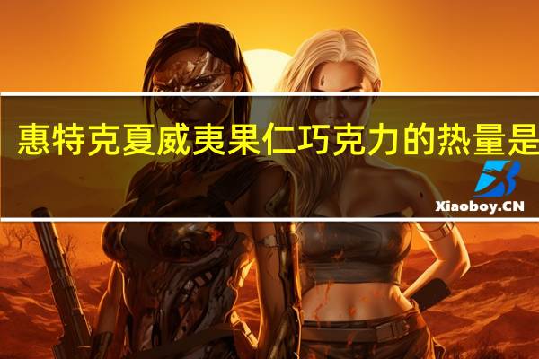 惠特克 夏威夷果仁巧克力的热量是多少