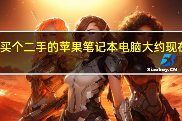 想买个二手的苹果笔记本电脑大约现在多少钱