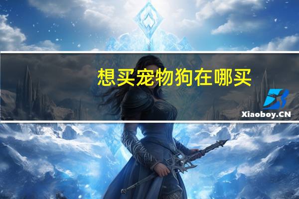 想买宠物狗在哪买