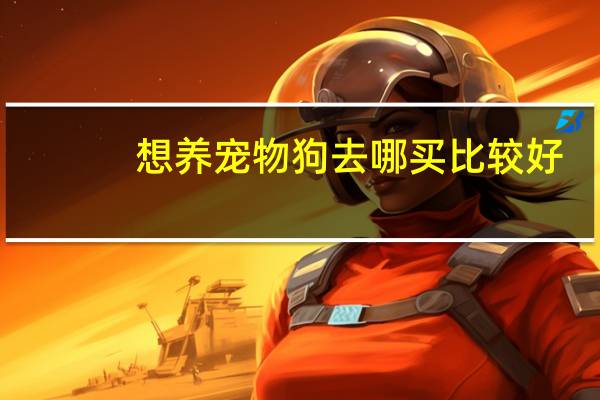 想养宠物狗去哪买比较好