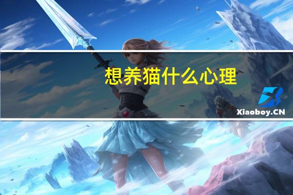 想养猫什么心理