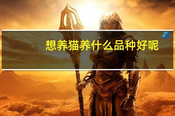 想养猫养什么品种好呢