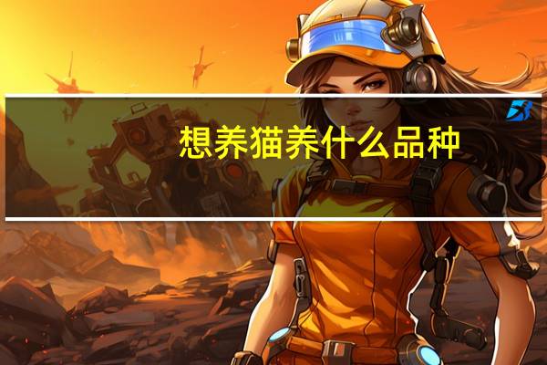 想养猫养什么品种