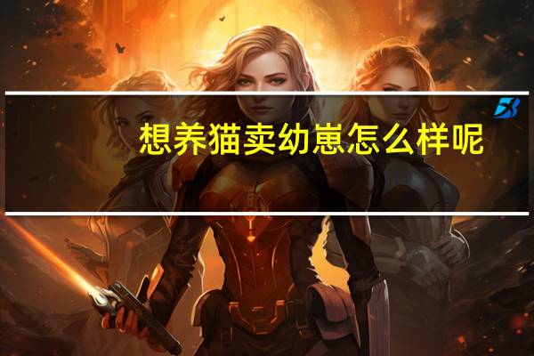 想养猫卖幼崽怎么样呢