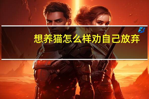 想养猫怎么样劝自己放弃