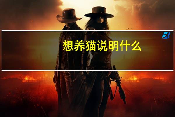 想养猫说明什么