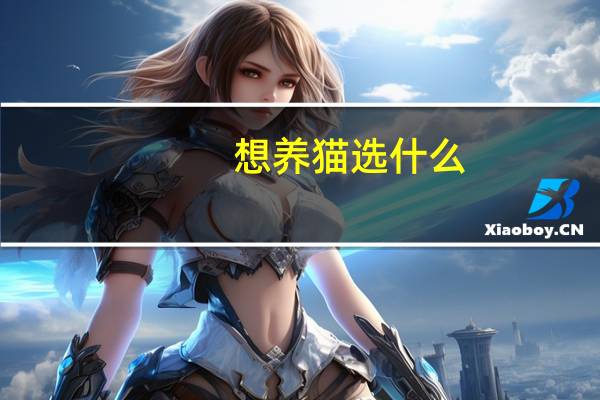 想养猫选什么