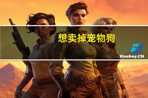 想卖掉宠物狗