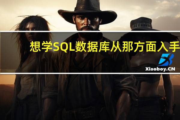 想学SQL数据库从那方面入手