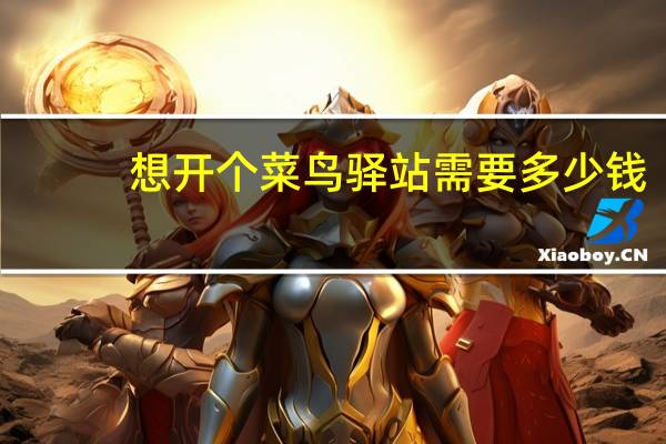 想开个菜鸟驿站需要多少钱