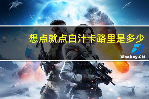 想点就点 白汁卡路里是多少