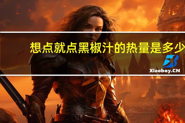 想点就点 黑椒汁的热量是多少
