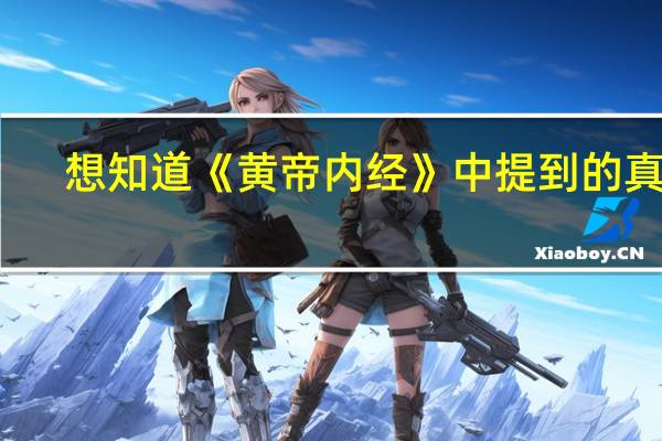 想知道《黄帝内经》中提到的真人，至人，贤人，圣人，详细分别。最少比内经中详细。100