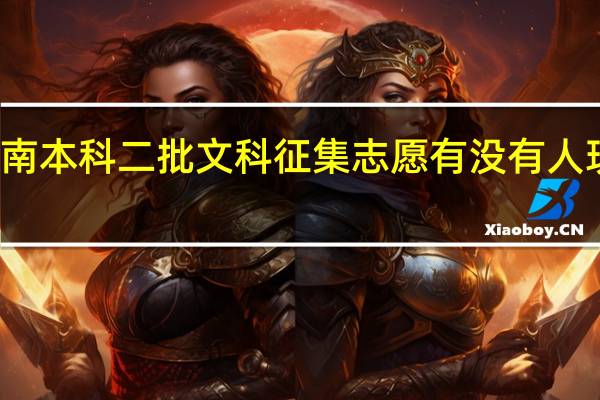 想问问今年河南本科二批文科征集志愿有没有人现在的档案已投档的