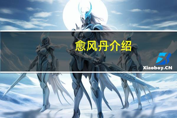 愈风丹介绍