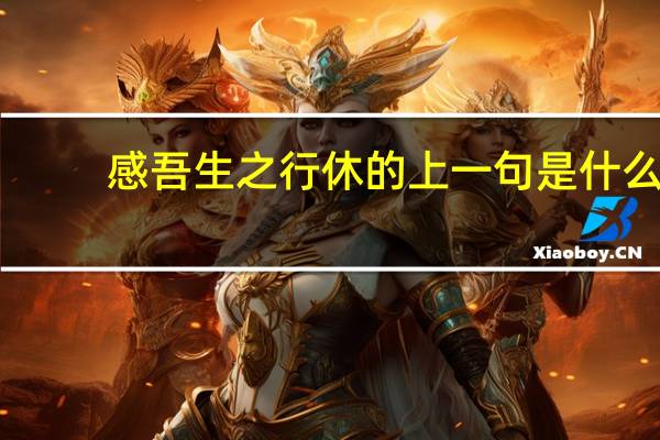 感吾生之行休的上一句是什么