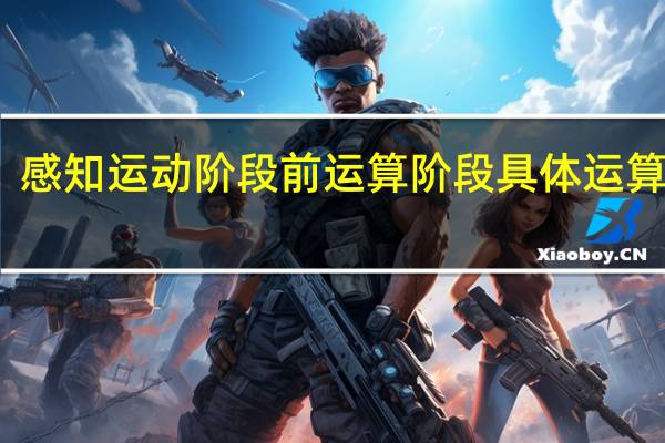 感知运动阶段前运算阶段具体运算阶段