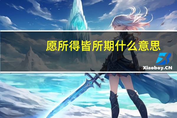 愿所得皆所期什么意思