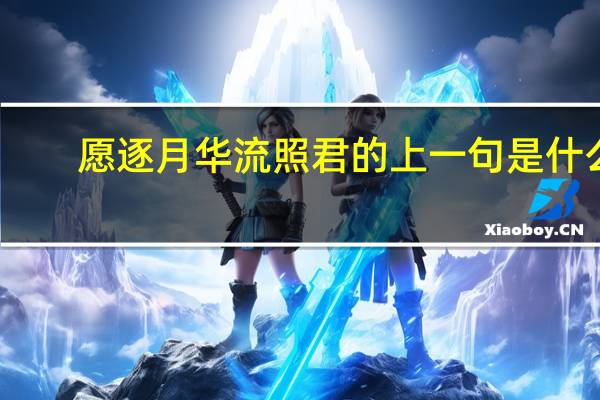 愿逐月华流照君的上一句是什么