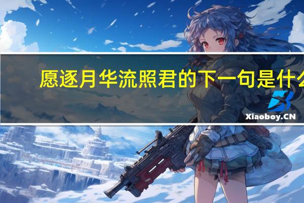 愿逐月华流照君的下一句是什么