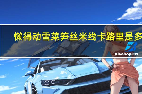 懒得动 雪菜笋丝米线卡路里是多少