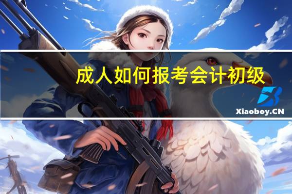 成人如何报考会计初级
