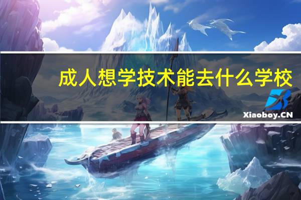 成人想学技术能去什么学校