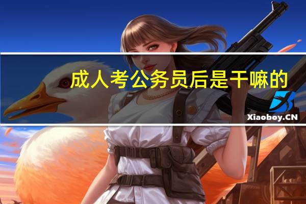 成人考公务员后是干嘛的