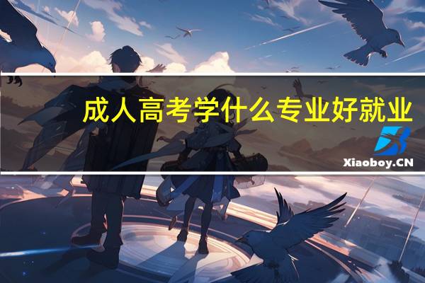 成人高考学什么专业好就业