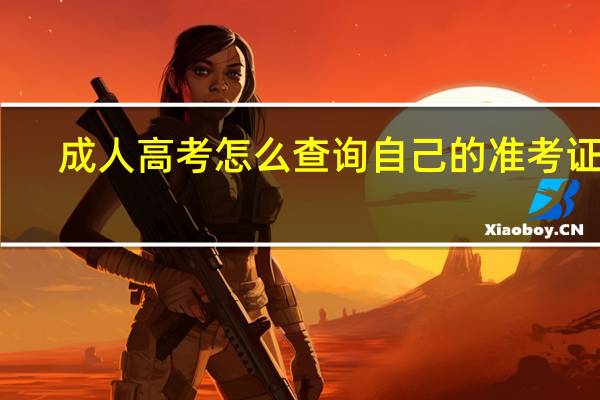 成人高考怎么查询自己的准考证号