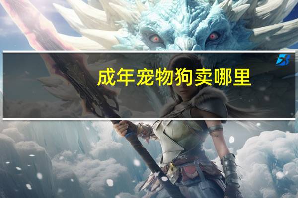 成年宠物狗卖哪里