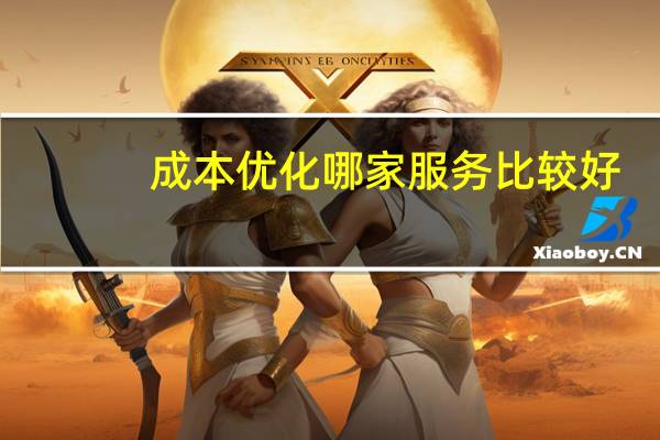 成本优化哪家服务比较好