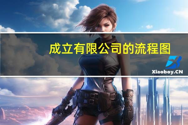 成立有限公司的流程图（成立有限公司的流程）
