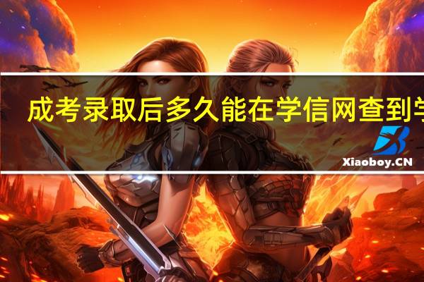成考录取后多久能在学信网查到学籍