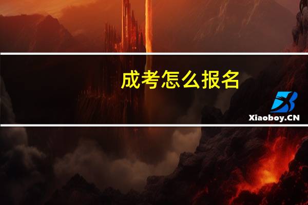 成考怎么报名