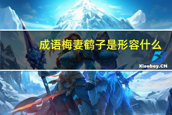 成语梅妻鹤子是形容什么