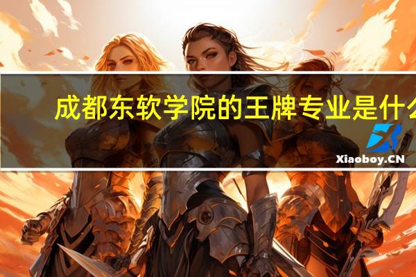 成都东软学院的王牌专业是什么