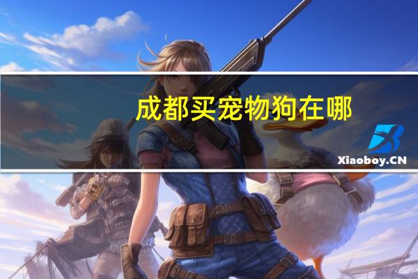 成都买宠物狗在哪