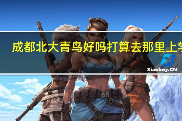 成都北大青鸟好吗打算去那里上学了