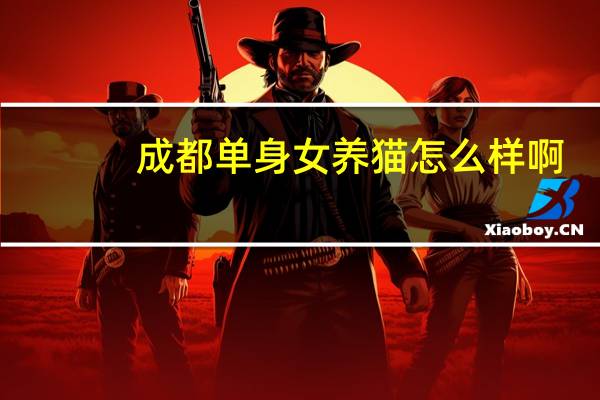 成都单身女养猫怎么样啊