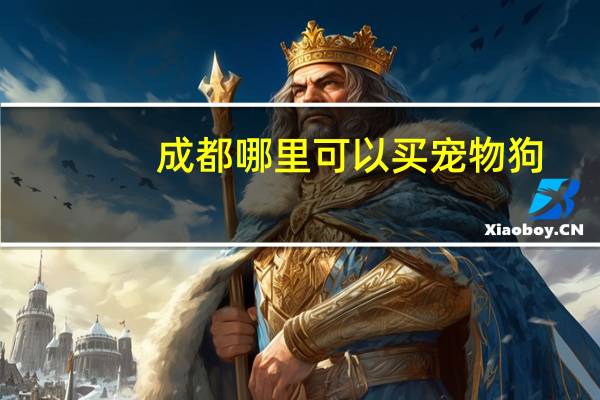 成都哪里可以买宠物狗