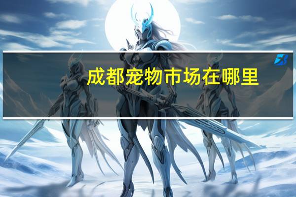 成都宠物市场在哪里